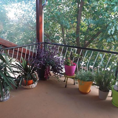 Apartmani Corleone Bilice Exterior foto